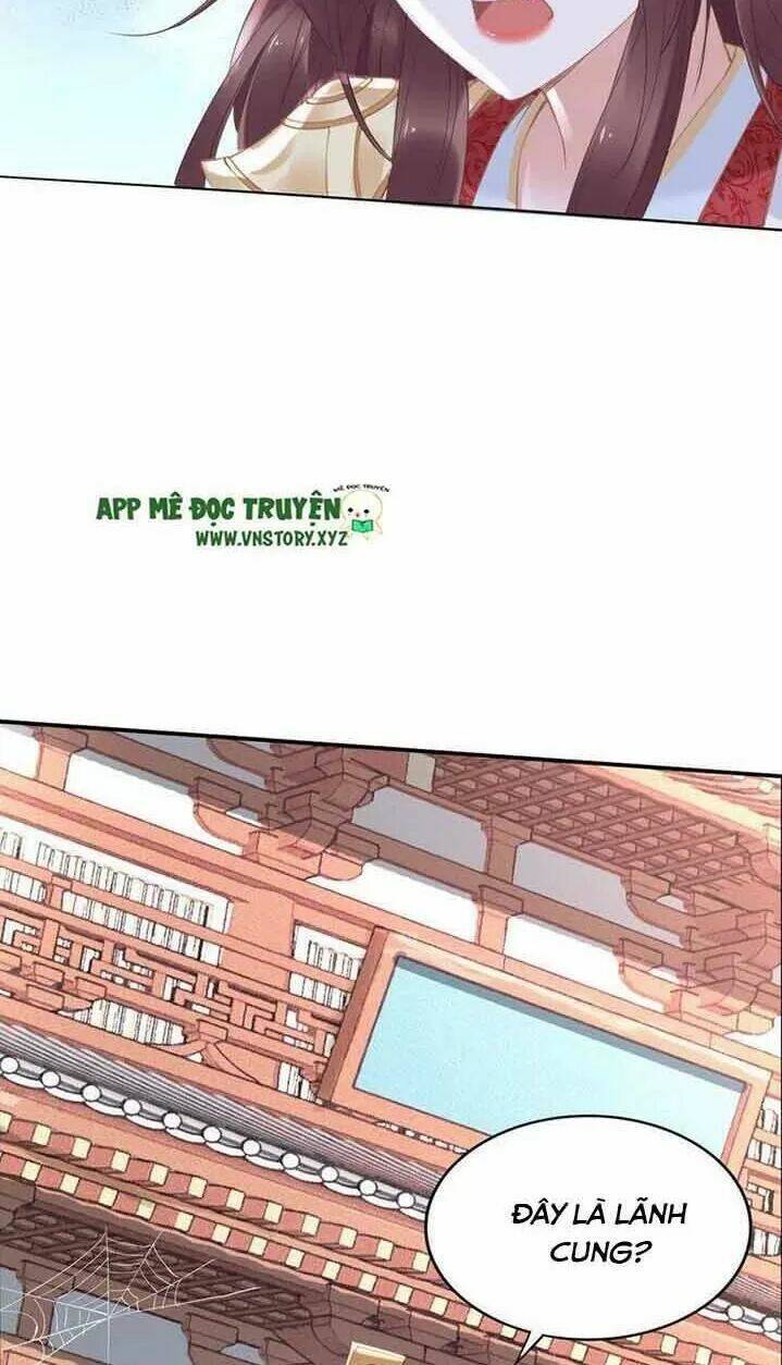 Nhất Sinh Nhất Thế Tiếu Thương Khung: Chapter 41