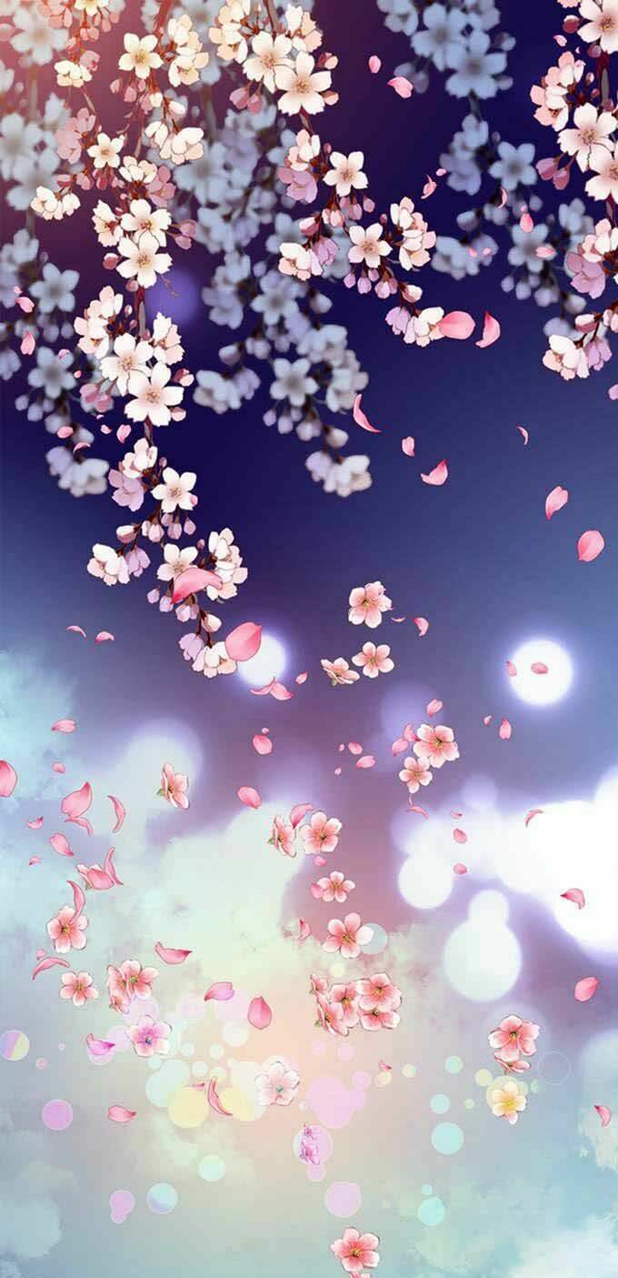 Đêm Tuyết Nghe Thấy Anh Đào Rơi: Chapter 0