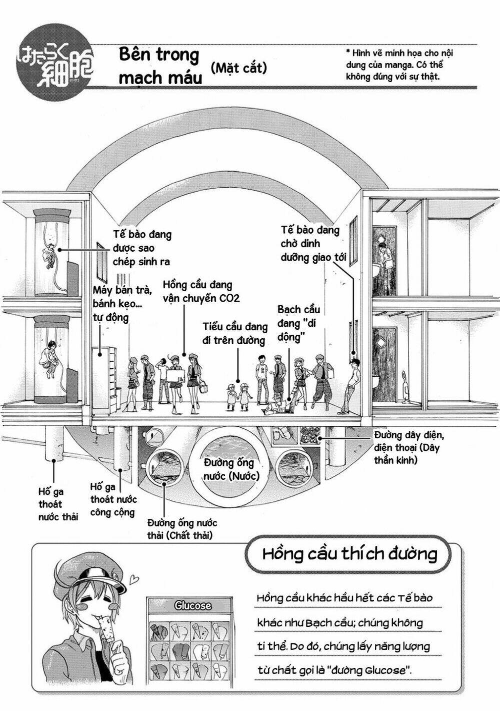 Hataraku Saibou!: Chapter 10