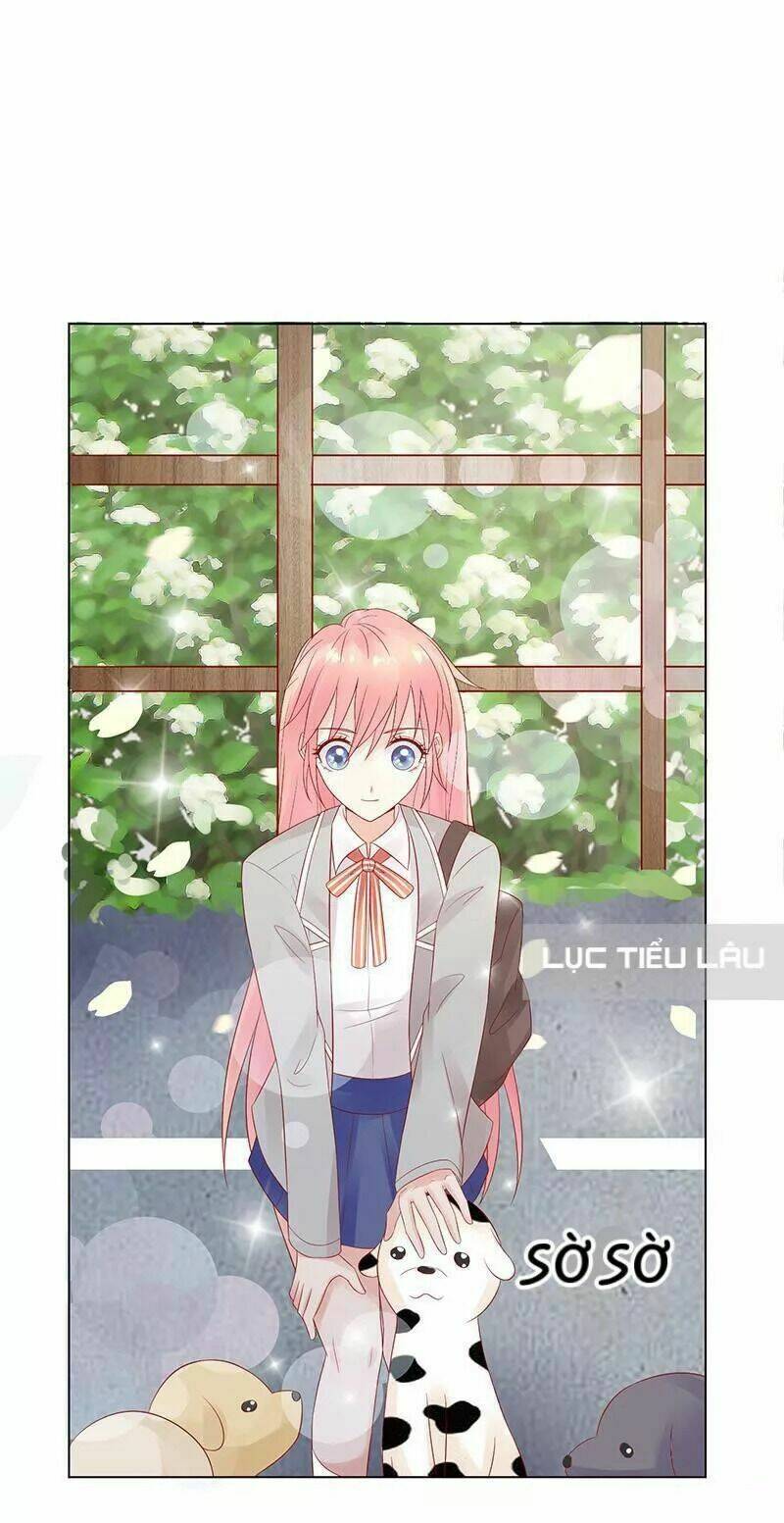 Băng Sơn Học Trưởng Không Được Chọc: Chapter 8