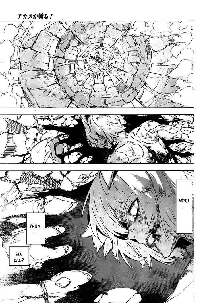 Akame Ga Kiru: Chapter 73