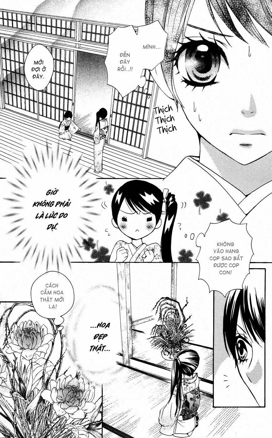 Cô dâu tiểu thư - Ojousama wa Oyomesama: Chapter 17