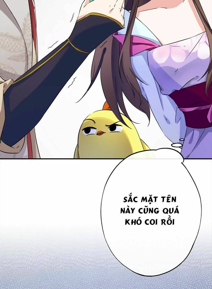 Vương Phi Có Chút Nghịch Ngợm: Chapter 2