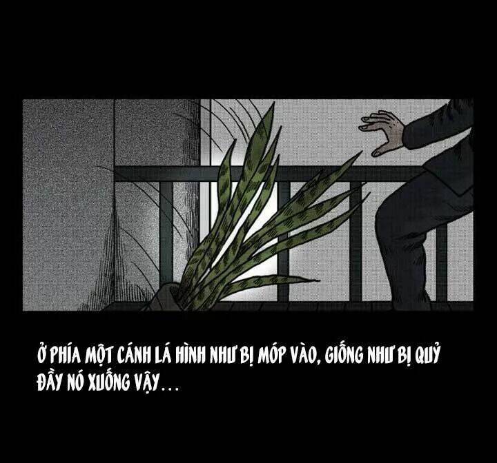 Kỳ Án Có Thật: Chapter 39