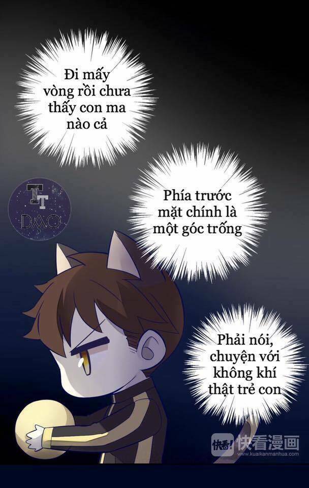Dưới Móng Vuốt Mèo: Chapter 4