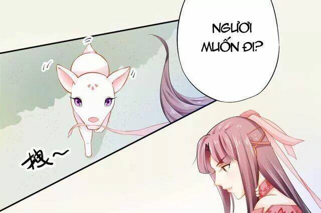 Tuyệt Thế Luyện Đan Sư: Chapter 18