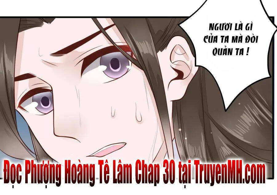 Phượng Hoàng Tê Lâm: Chapter 29