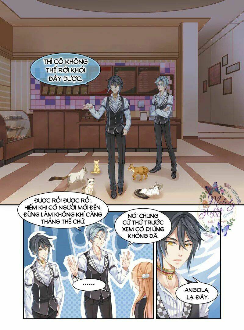 Xin Chào! Coffee Cat's: Chapter 2