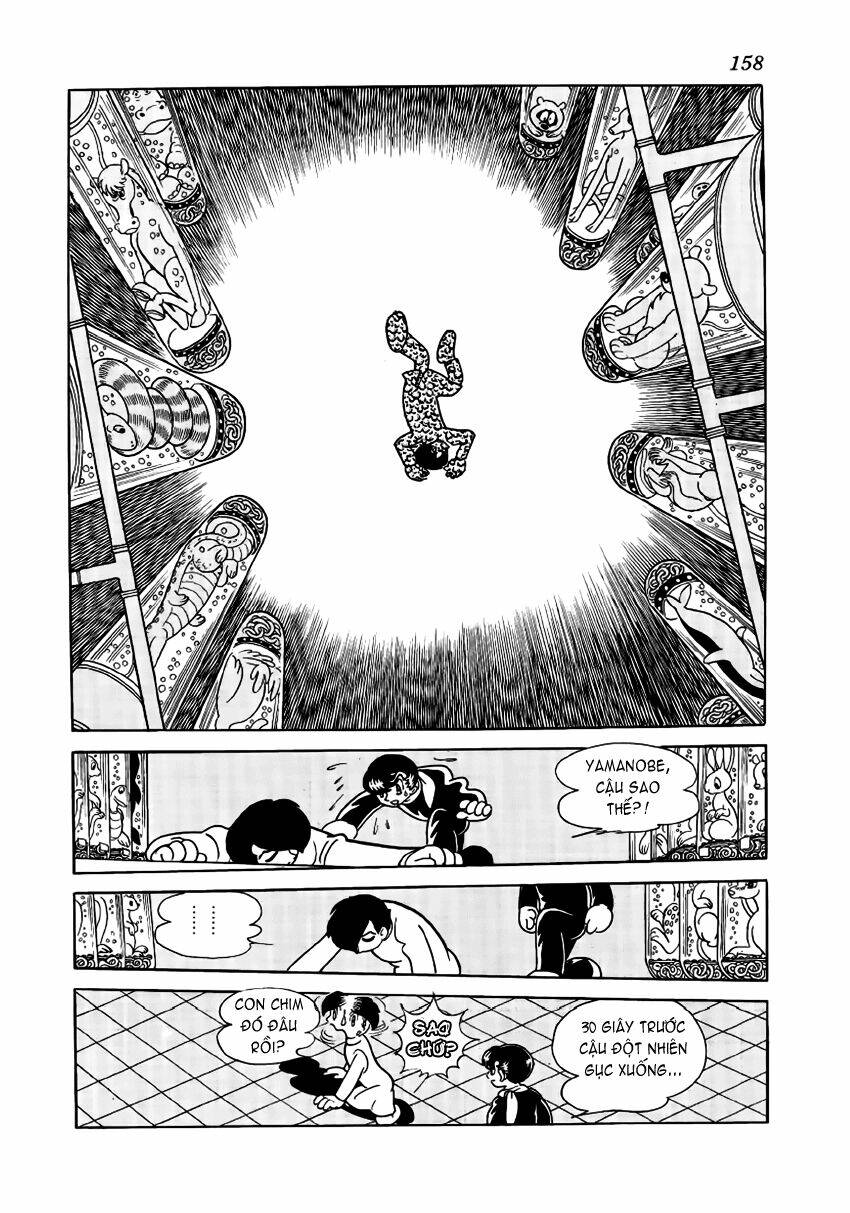 Chim Lửa: Chapter 25