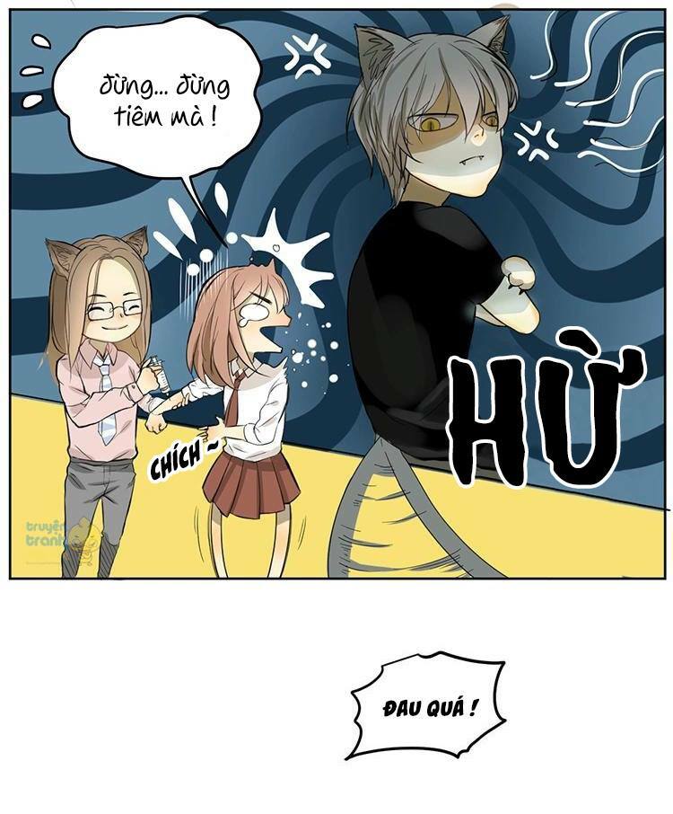 Cứu mạng ! Loài mèo thống trị thế giới rồi !: Chapter 4