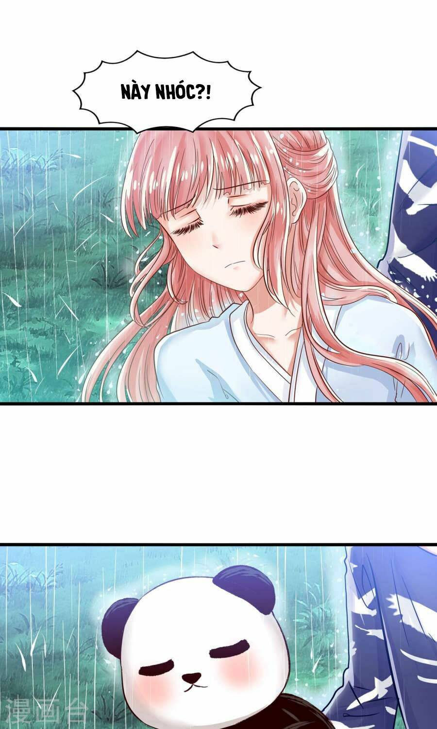 Tôi Bị Gấu Trúc Nhìn Trúng Rồi: Chapter 11