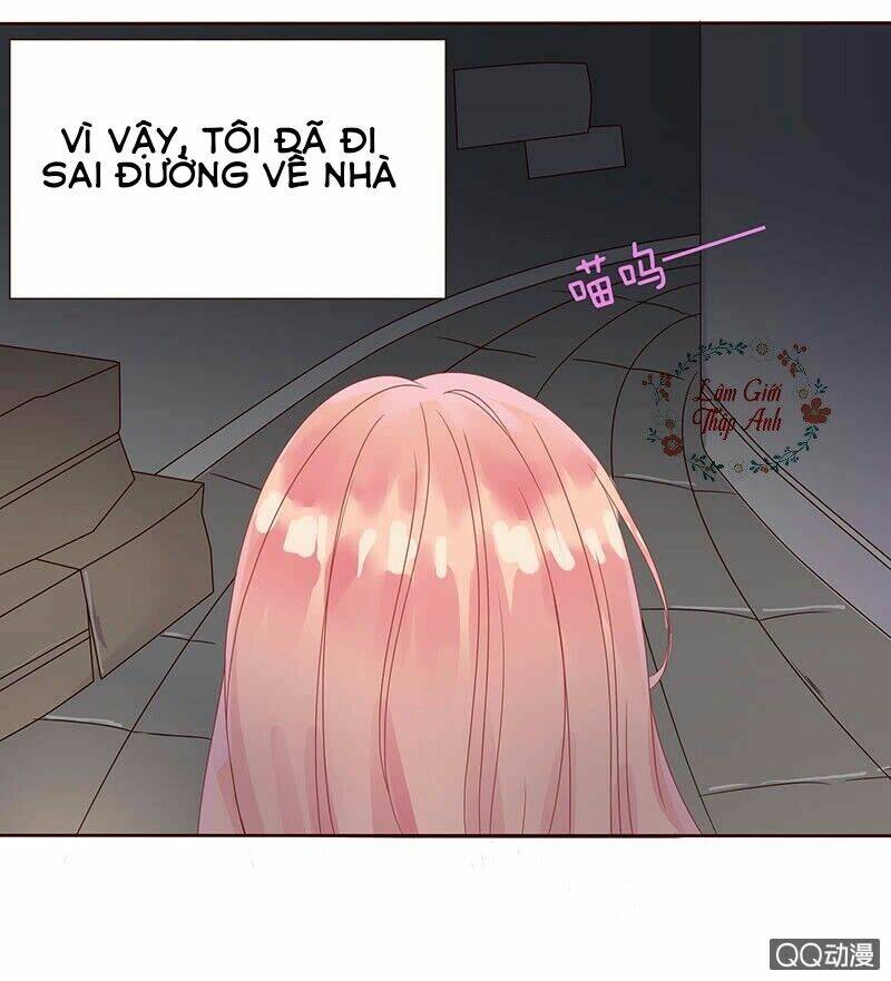 Băng Sơn Học Trưởng Không Được Chọc: Chapter 1.1