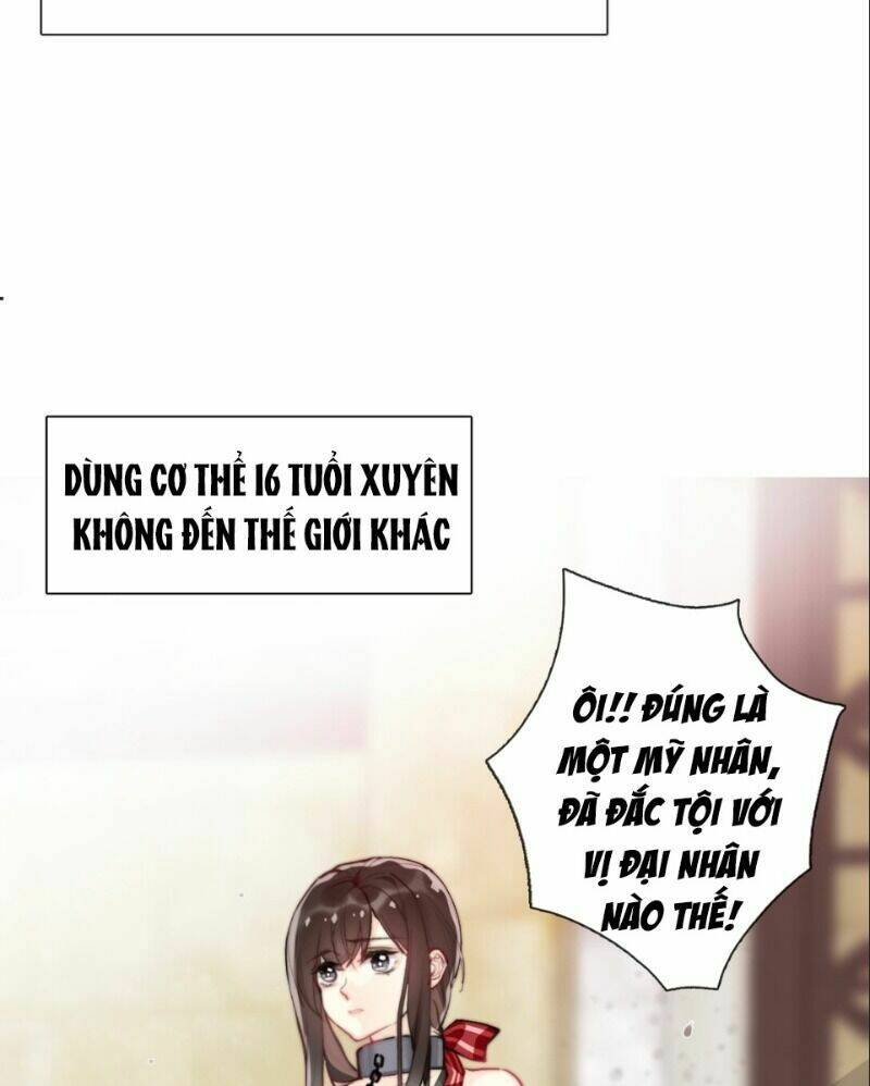Tôi Bị Ép Trở Thành Vương Phi Khi Xuyên Tới Thế Giới Khác: Chapter 1