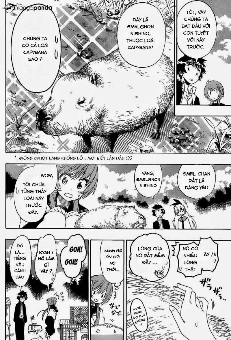 Tình Yêu Ngang Trái: Chapter 142