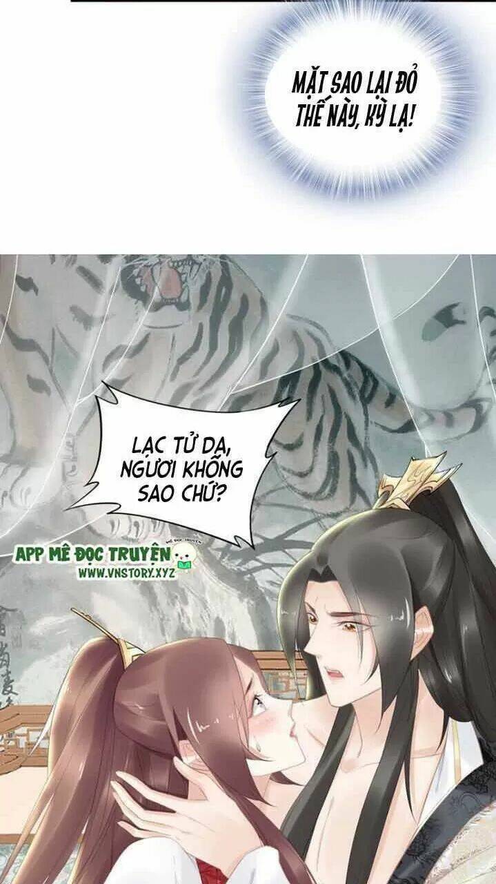 Nhất Sinh Nhất Thế Tiếu Thương Khung: Chapter 74