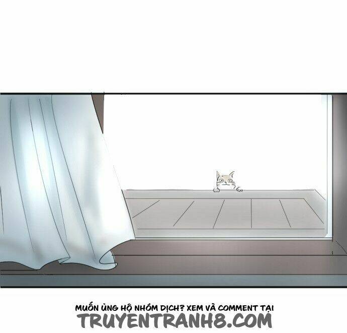 Transparent Cohabitation: Chapter 12