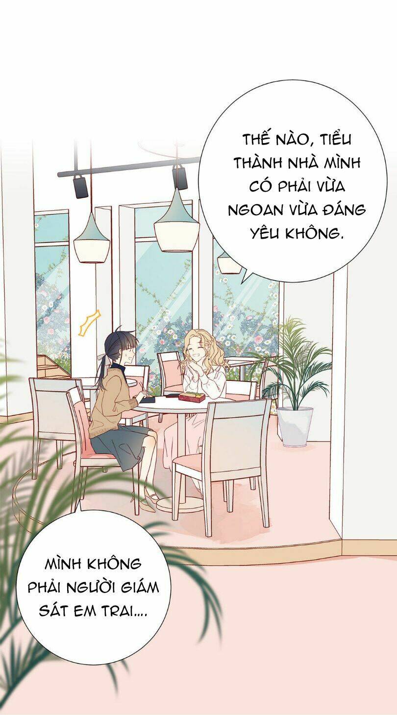 Lời Thề Như Sương Triều: Chapter 10