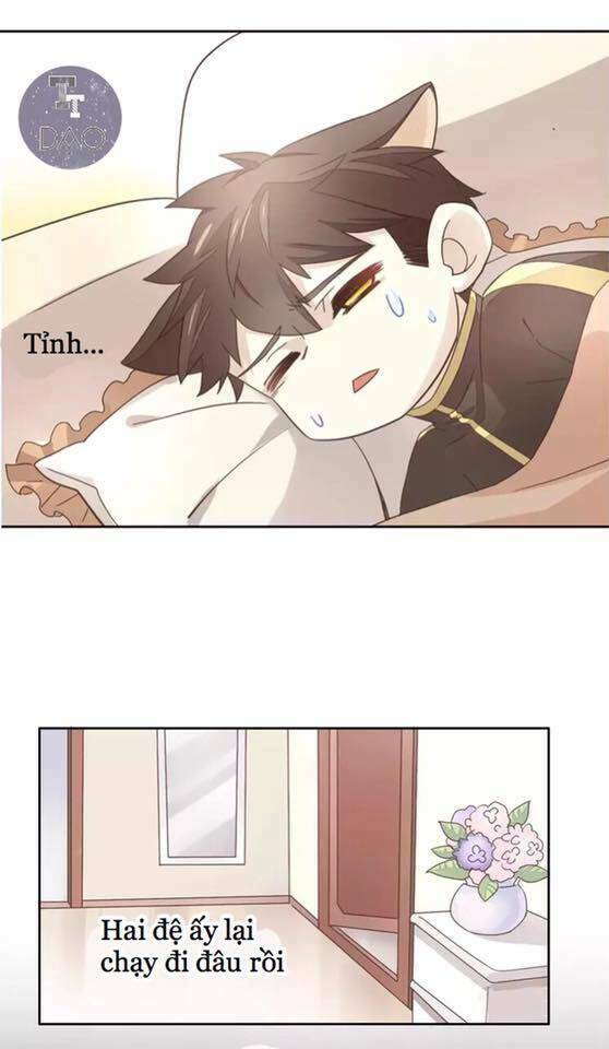Dưới Móng Vuốt Mèo: Chapter 19