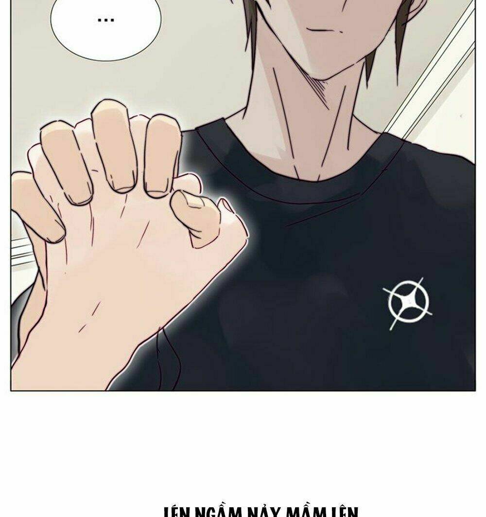 Tình Yêu Chớp Nhoáng: Chapter 68