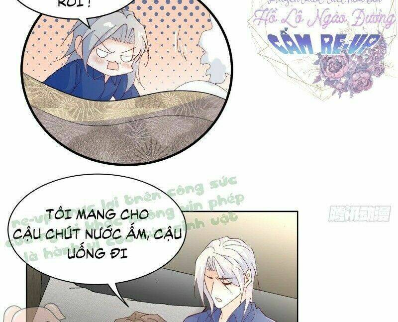 Ảnh Đế Yêu Hồ: Chapter 41