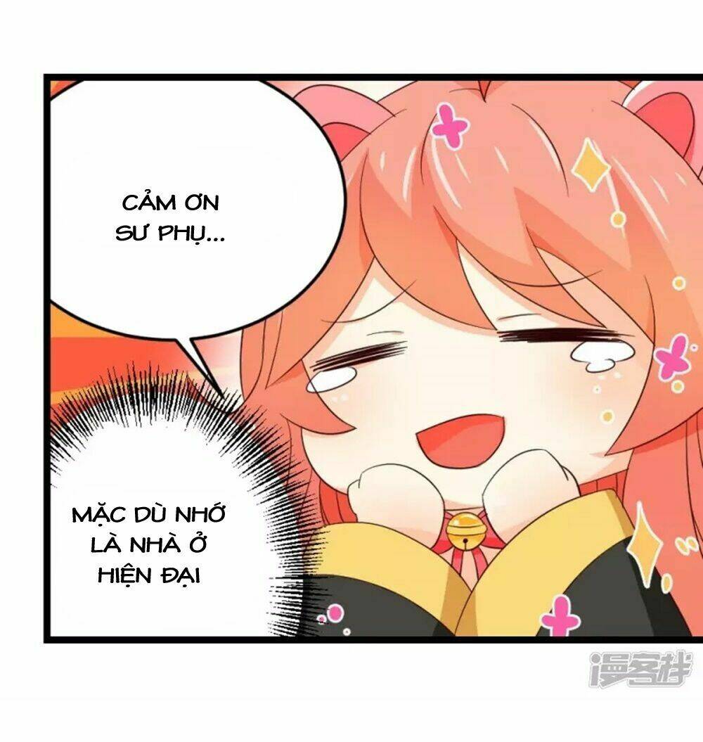 Đệ Tử Của Ta Là Heo: Chapter 7