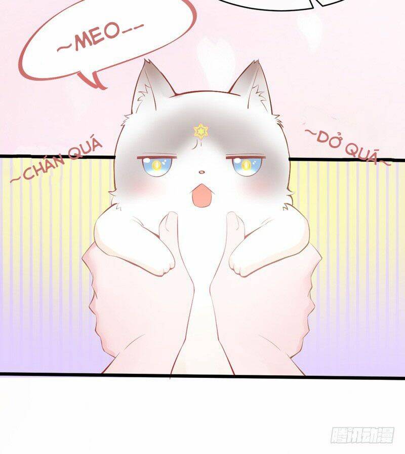 Vượt Qua Ngân Hà Để Yêu Em: Chapter 2