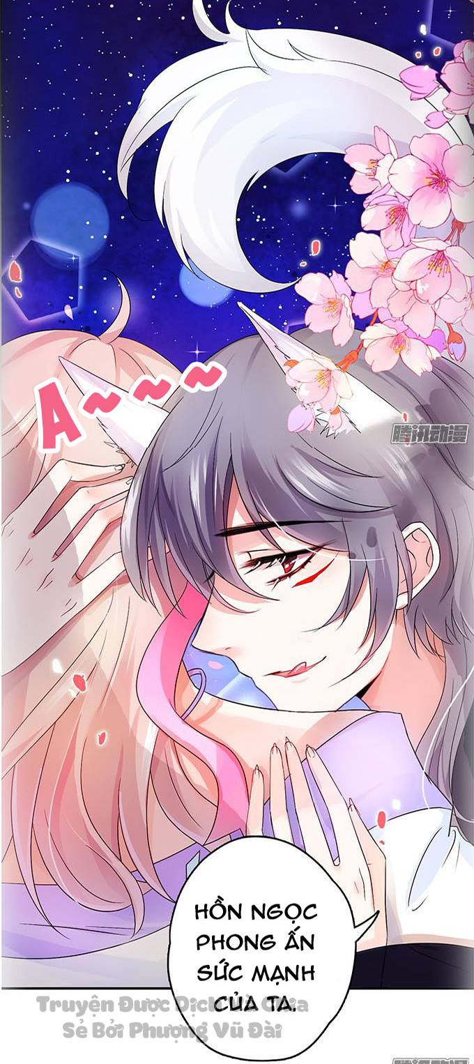 Hồ Tiên Hung Bạo: Chapter 0