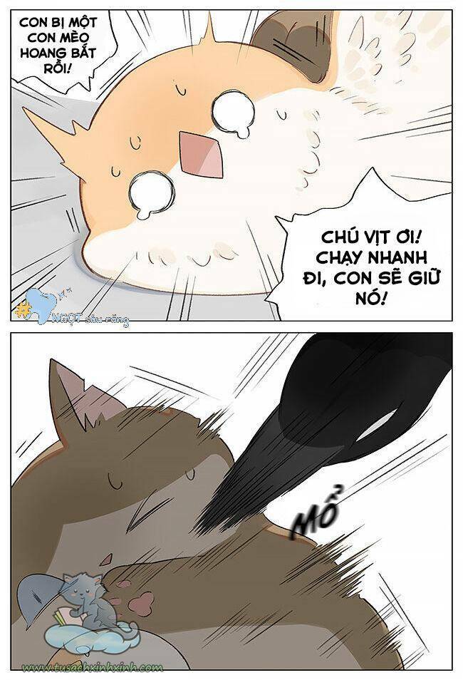 Chim Sẻ Gọi Ngỗng Trời: Chapter 1