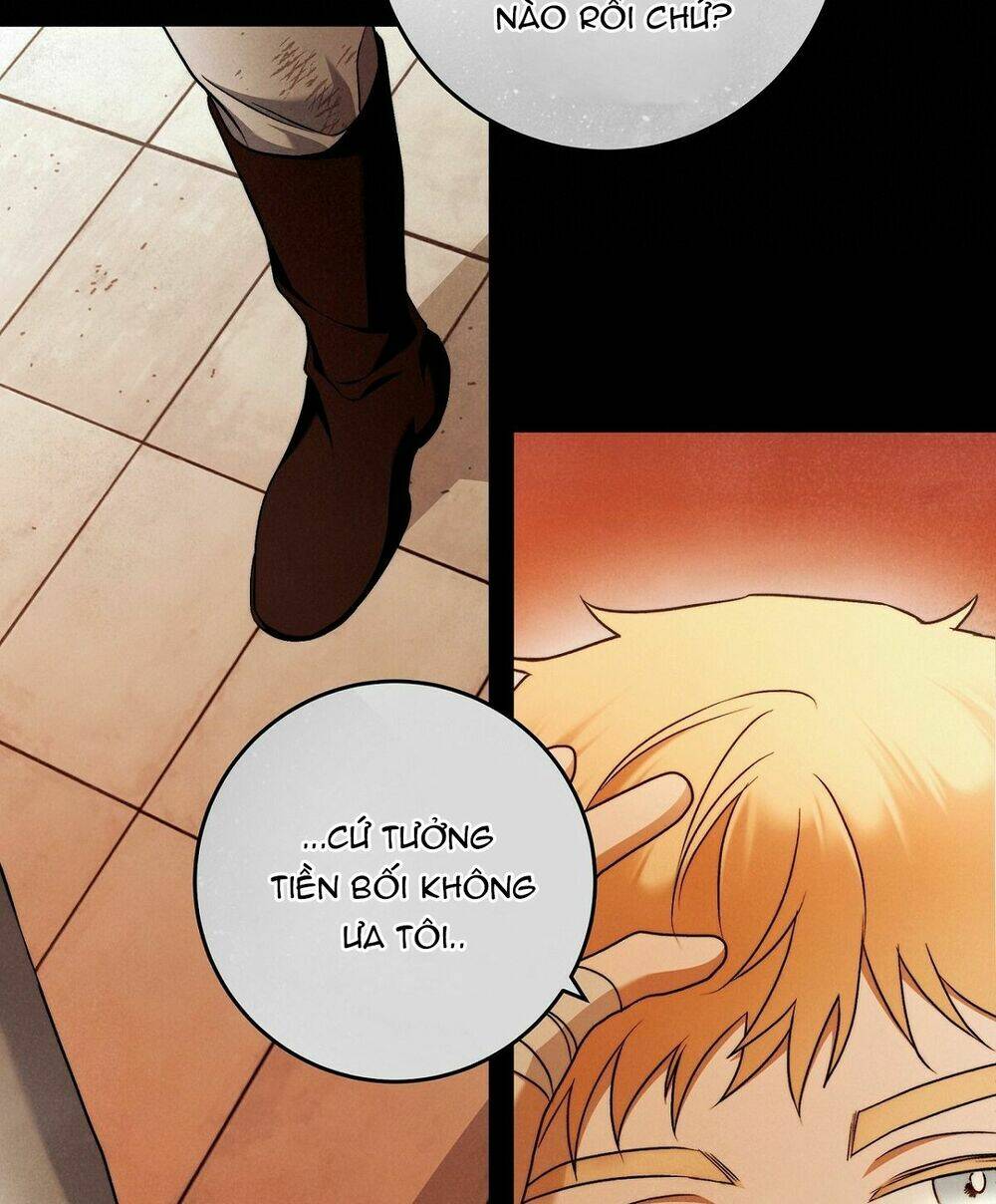 Lời Nói Dối Vĩnh Cửu: Chapter 29