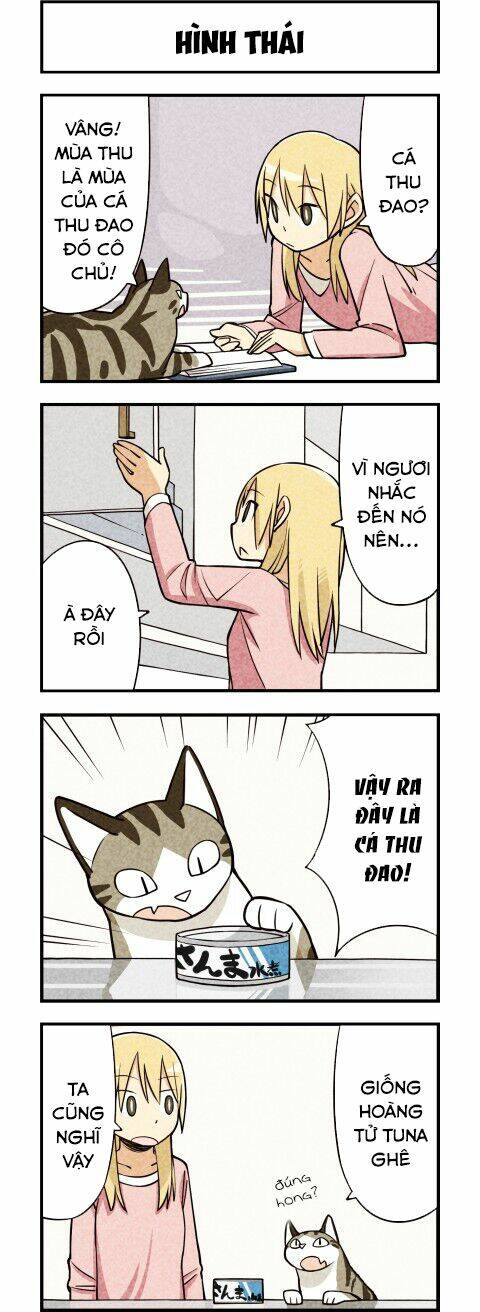 We Are Cat: Chapter 12