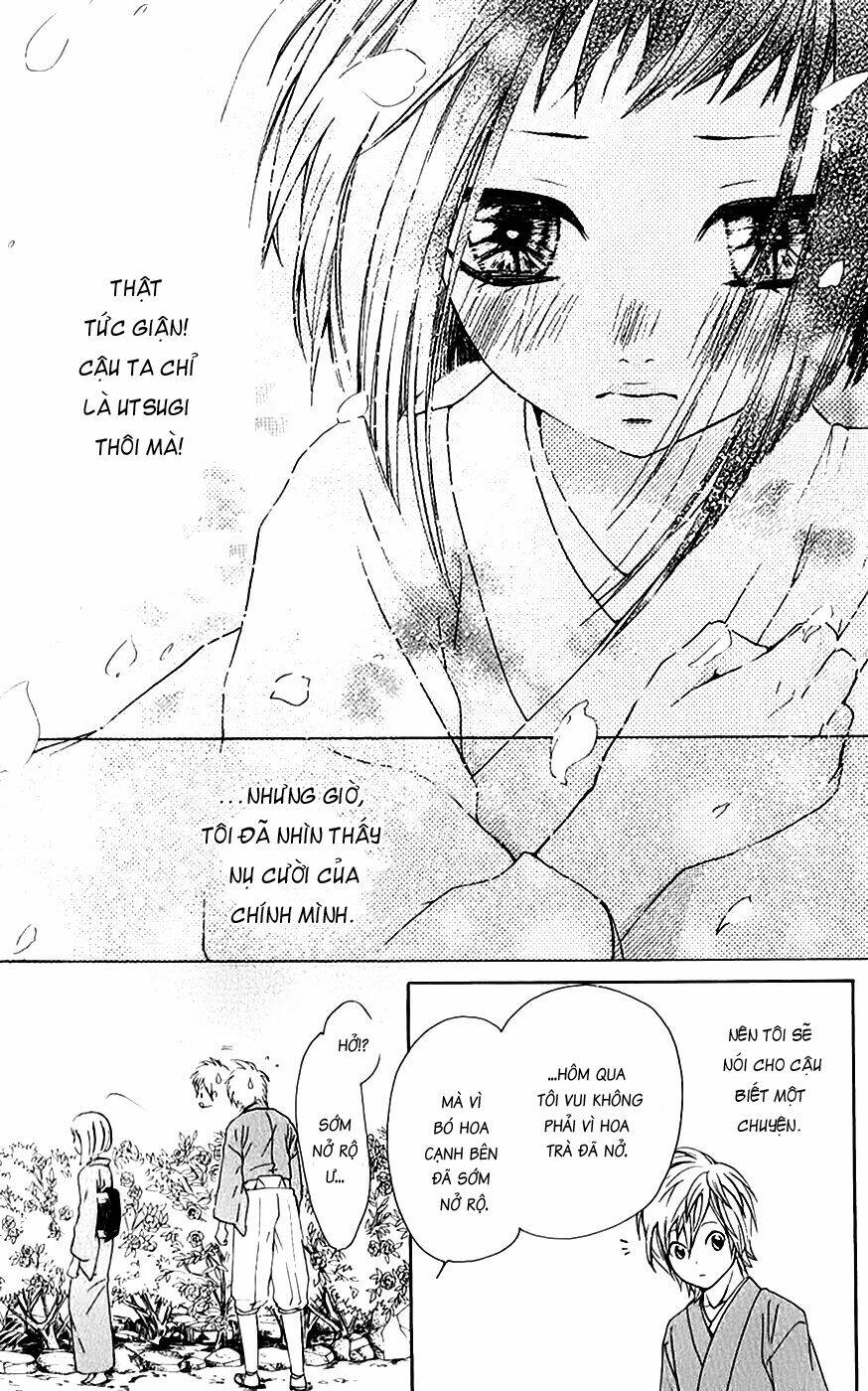 Cô dâu tiểu thư - Ojousama wa Oyomesama: Chapter 12.5