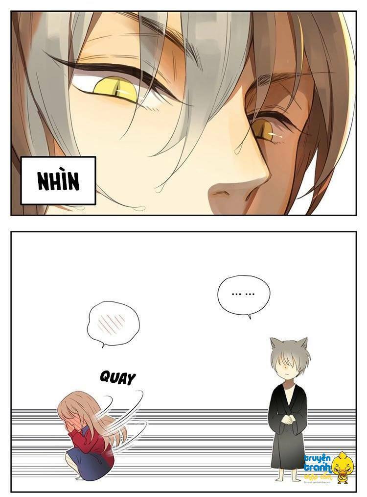 Cứu mạng ! Loài mèo thống trị thế giới rồi !: Chapter 30