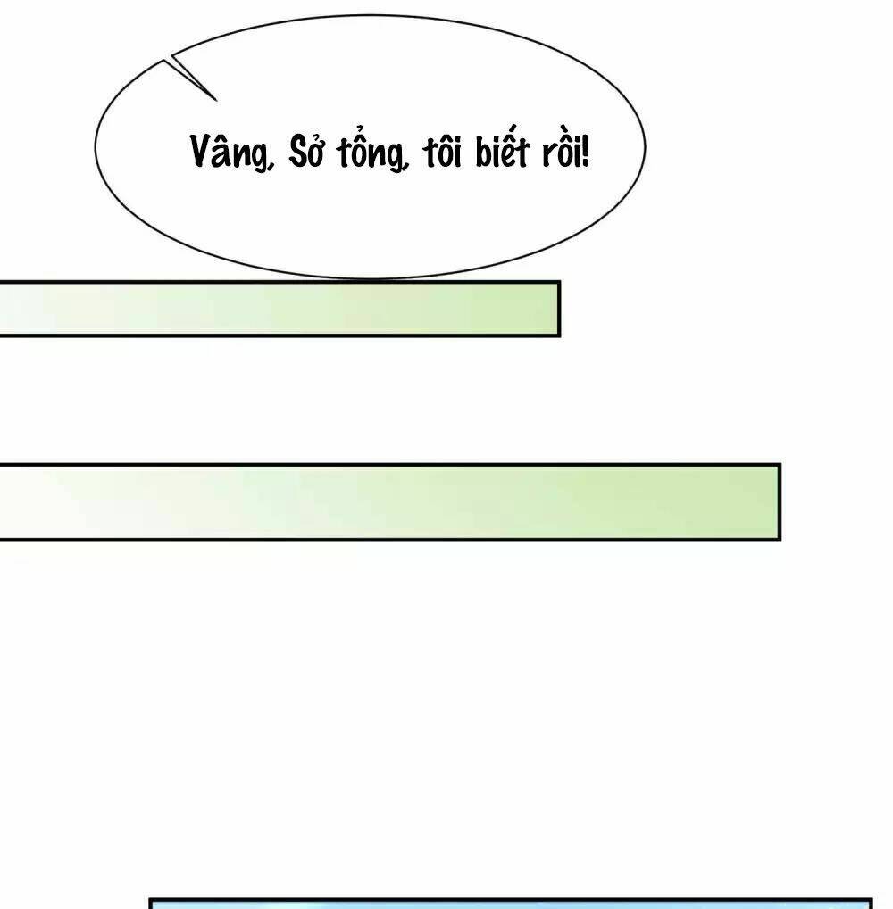 Tổng Tài Thịnh Sủng Tiền Thê: Chapter 20