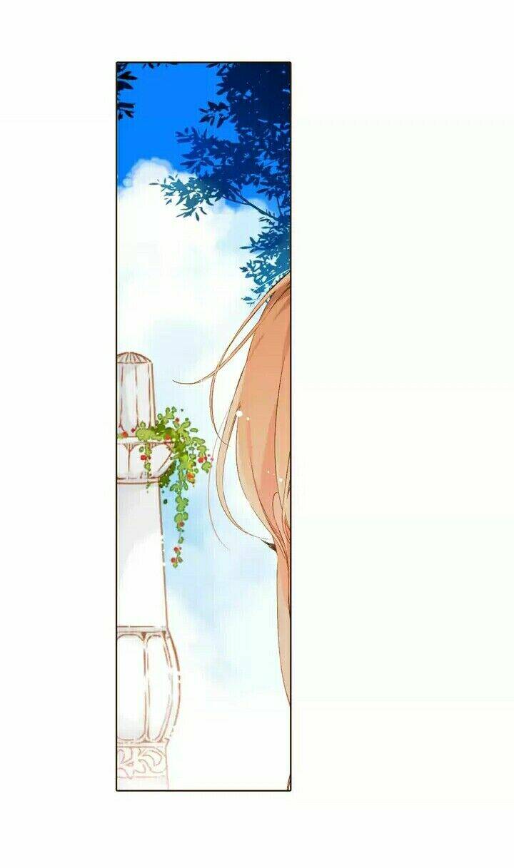 Tình Yêu Là Màu Hoa Anh Thảo: Chapter 28.2