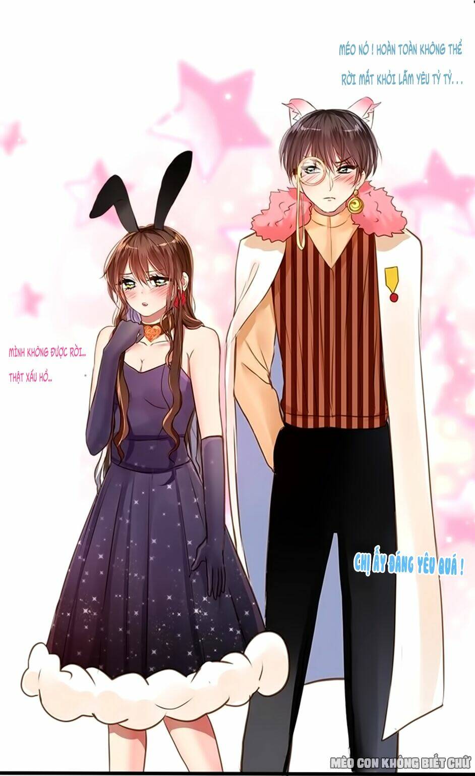 Không Có Ssr Làm Sao Để Yêu: Chapter 15