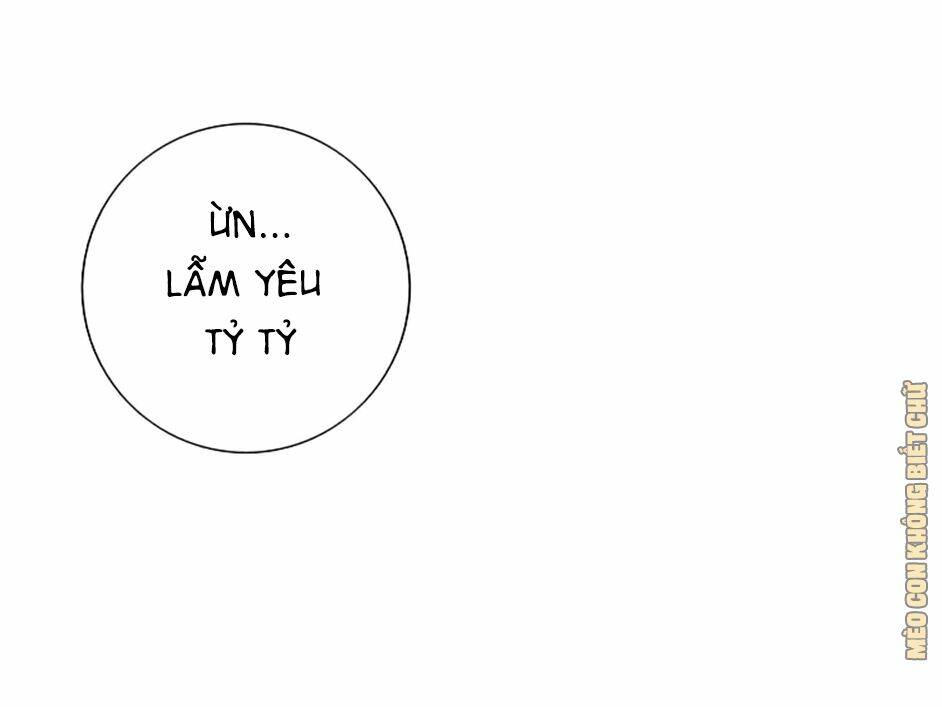 Không Có Ssr Làm Sao Để Yêu: Chapter 11