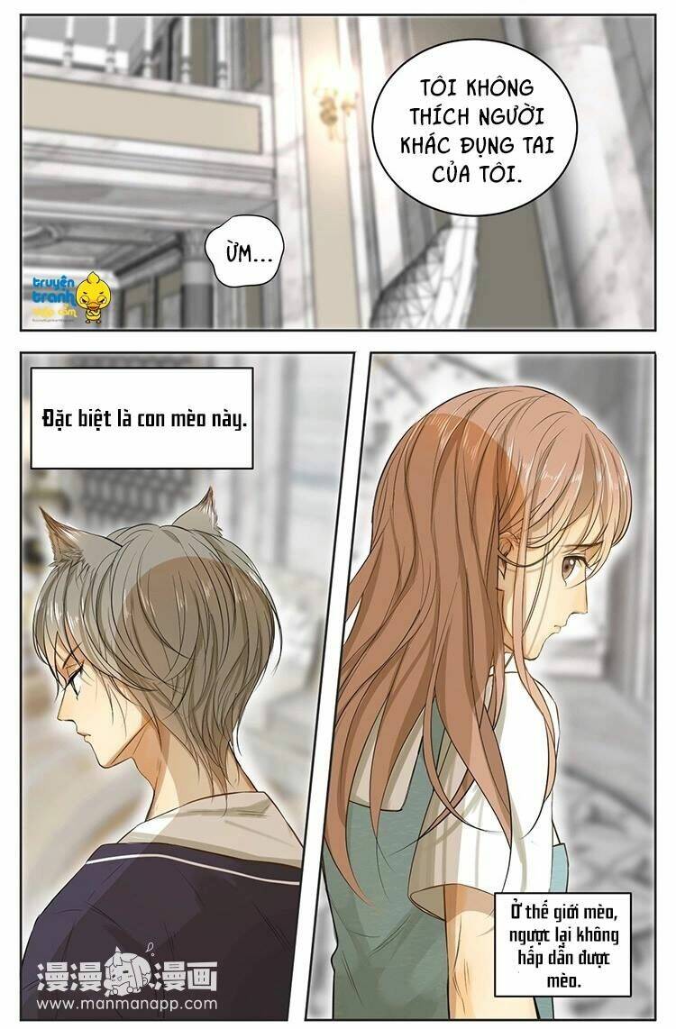 Cứu Mạng! Loài Mèo Thống Trị Thế Giới Rồi!: Chapter 13