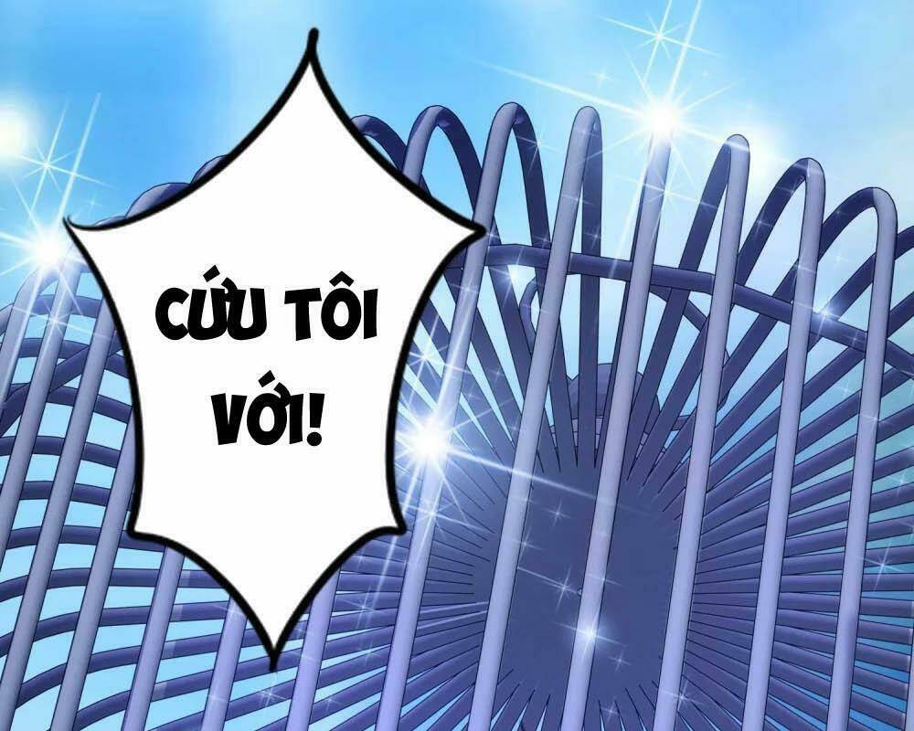 Tối Cường Vận Đào Hoa: Chapter 100