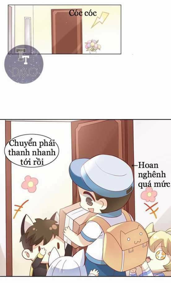 Dưới Móng Vuốt Mèo: Chapter 2