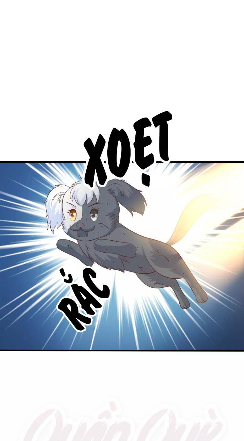 Tối Cường Vận Đào Hoa: Chapter 81