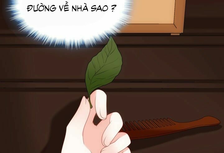 Đô đốc đại nhân sủng thê kí: Chapter 13.1