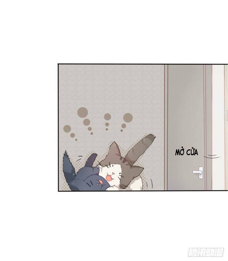 Thịnh Thế Lê Hoa Điện: Chapter 1