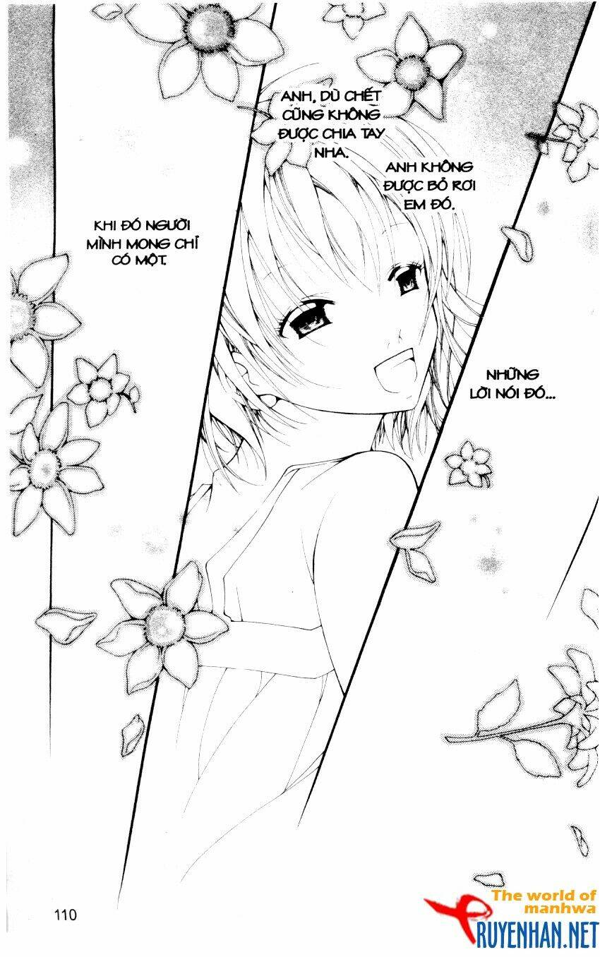 Ngọc Trong Đá-Ace: Chapter 15