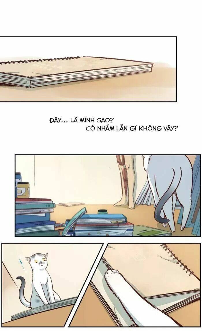 Thời Khắc Ấy, Chúng Ta Gặp Nhau: Chapter 19