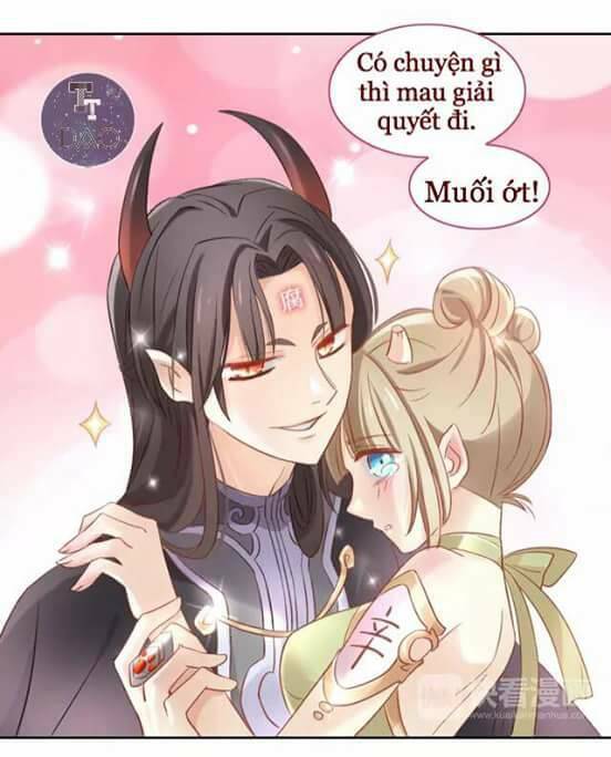 Dưới Móng Vuốt Mèo: Chapter 6