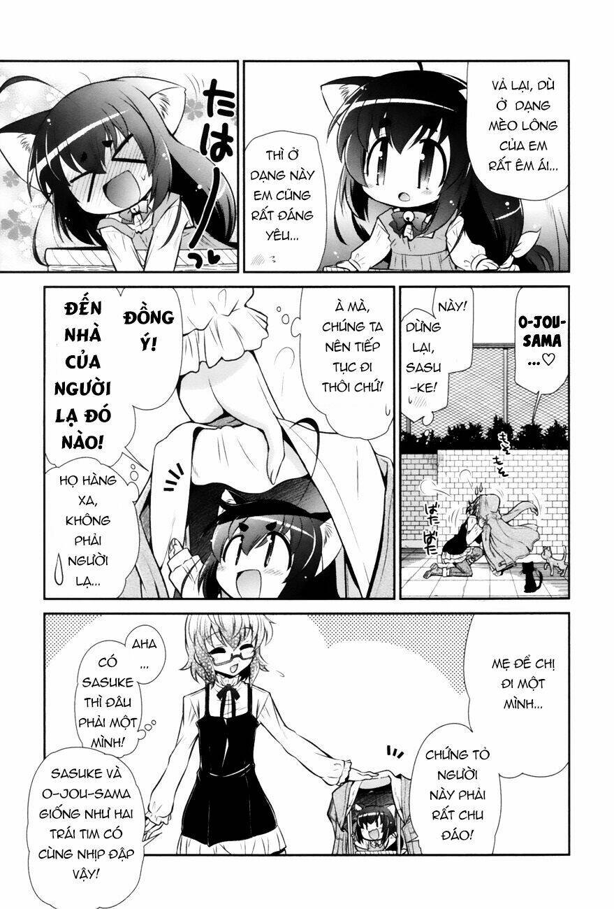 Bakeneko System: Chapter 1