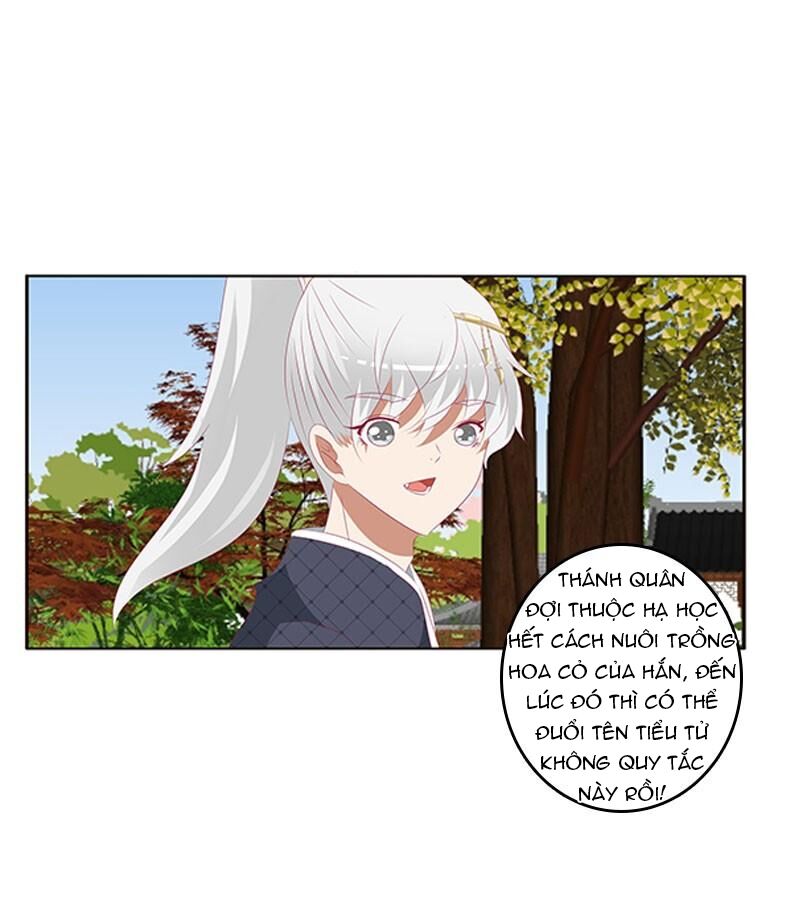 Thông Linh Phi: Chapter 396