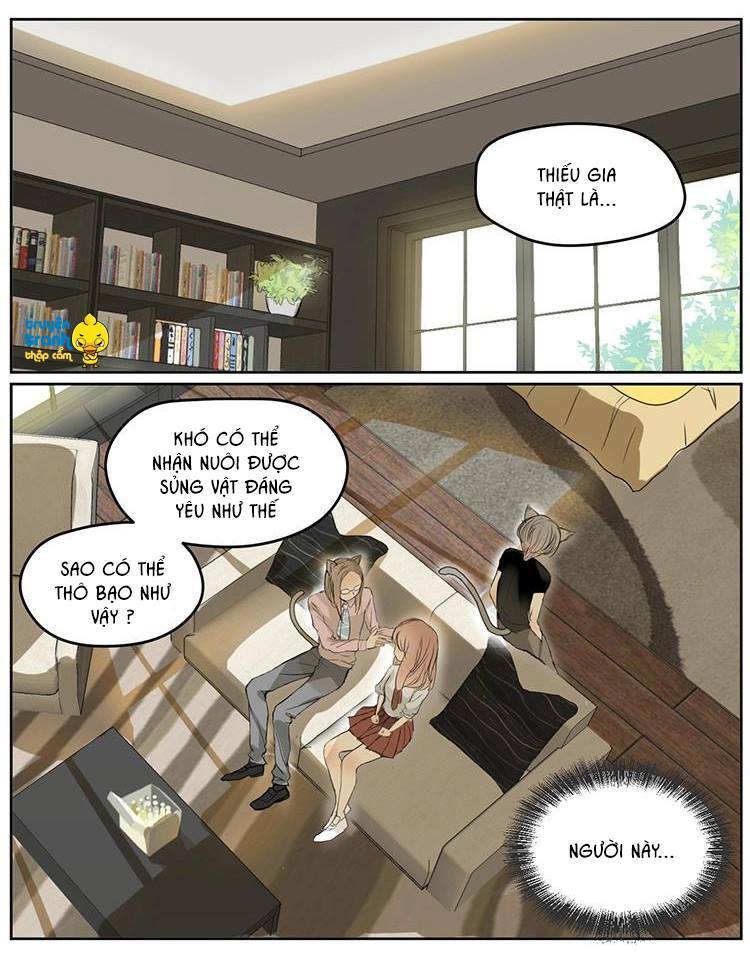 Cứu mạng ! Loài mèo thống trị thế giới rồi !: Chapter 4