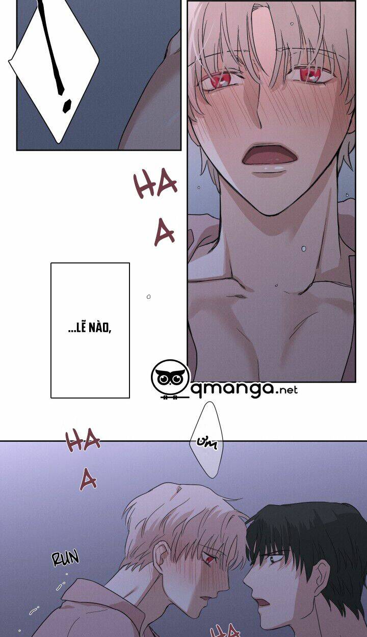 Trốn Tìm: Chapter 8