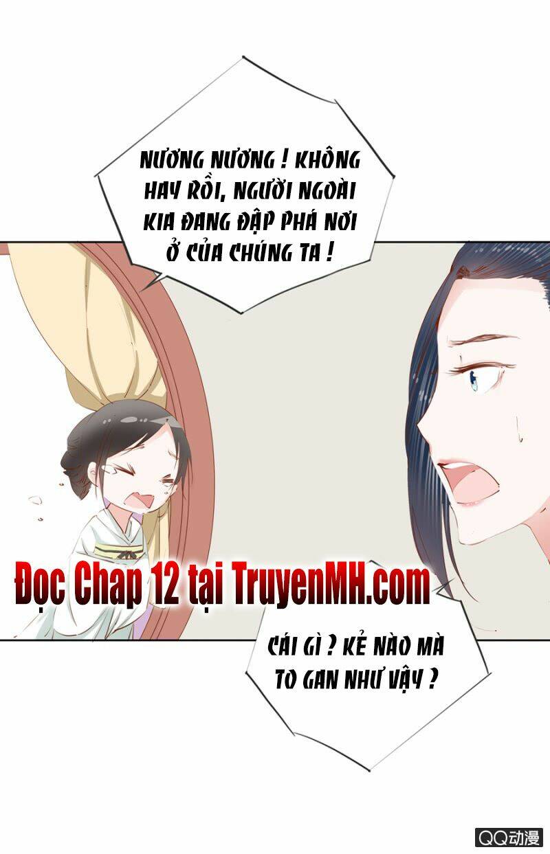 Solo Đi Vương Gia: Chapter 11